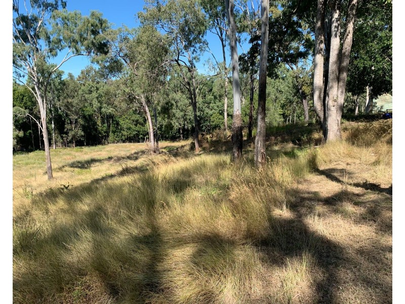 87 Andrew Fordyce Road, Mount Jukes QLD 4740