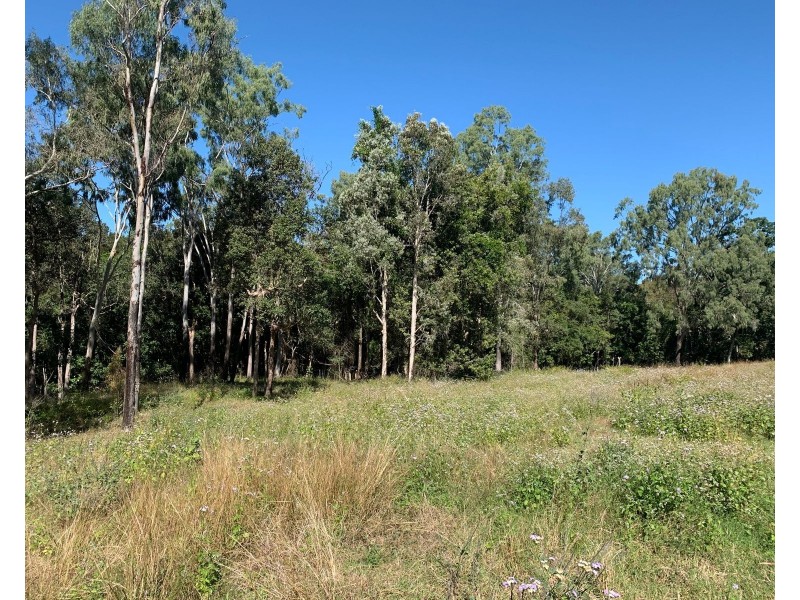 87 Andrew Fordyce Road, Mount Jukes QLD 4740