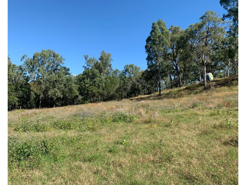 87 Andrew Fordyce Road, Mount Jukes QLD 4740
