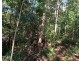 87 Andrew Fordyce Road, Mount Jukes QLD 4740
