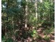 87 Andrew Fordyce Road, Mount Jukes QLD 4740