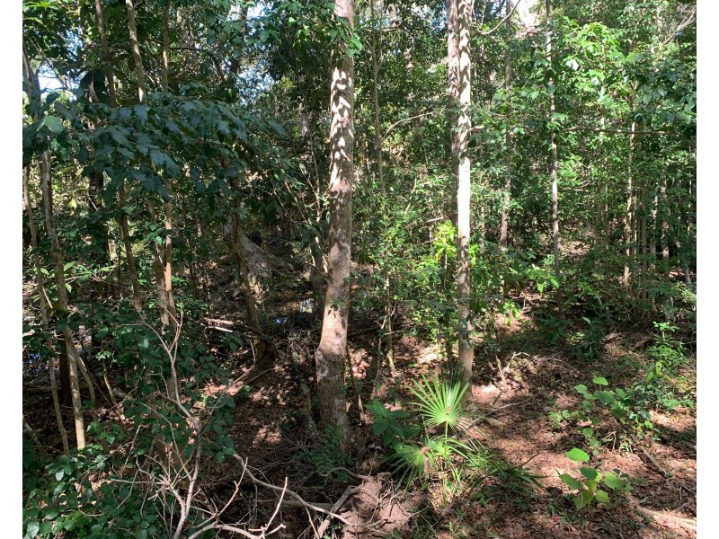 87 Andrew Fordyce Road, Mount Jukes QLD 4740