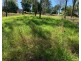 87 Andrew Fordyce Road, Mount Jukes QLD 4740