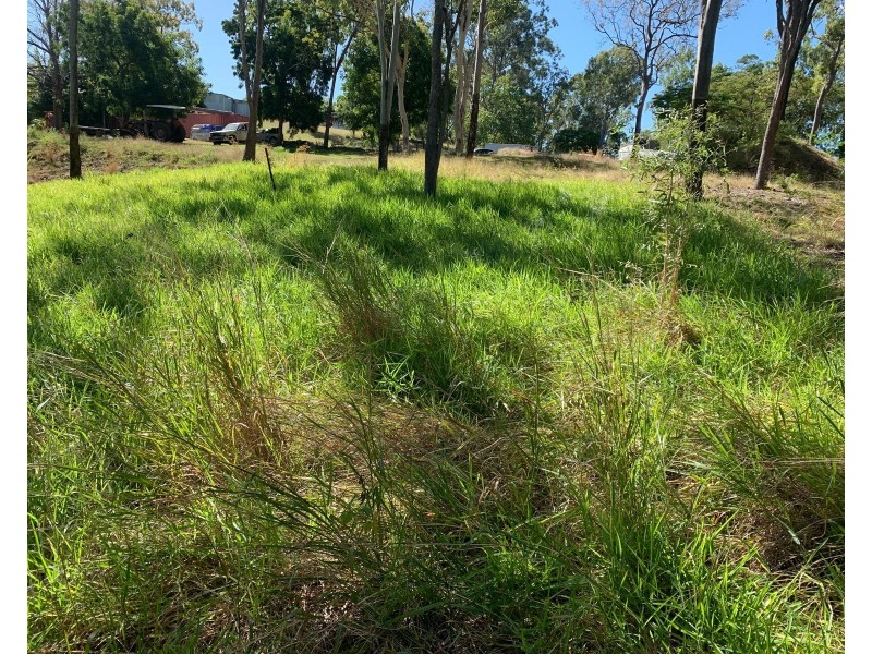 87 Andrew Fordyce Road, Mount Jukes QLD 4740