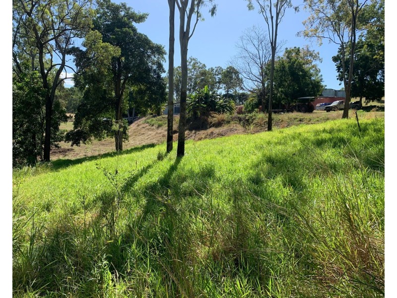 87 Andrew Fordyce Road, Mount Jukes QLD 4740