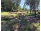 87 Andrew Fordyce Road, Mount Jukes QLD 4740