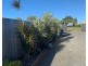 24 Murphy Street, Seaforth QLD 4741