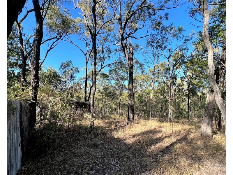 36 Flaggy Rock Road, Clairview QLD 4741