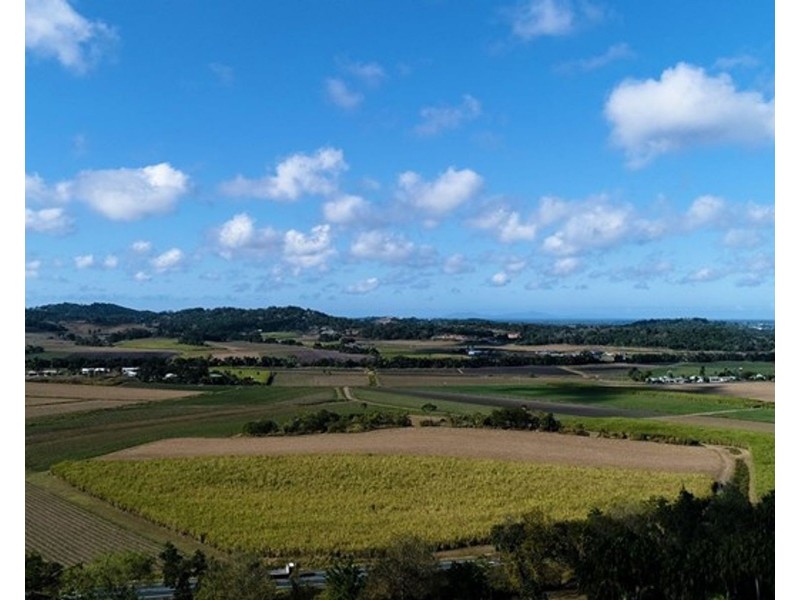 39 Ridgewood Drive, Farleigh QLD 4741