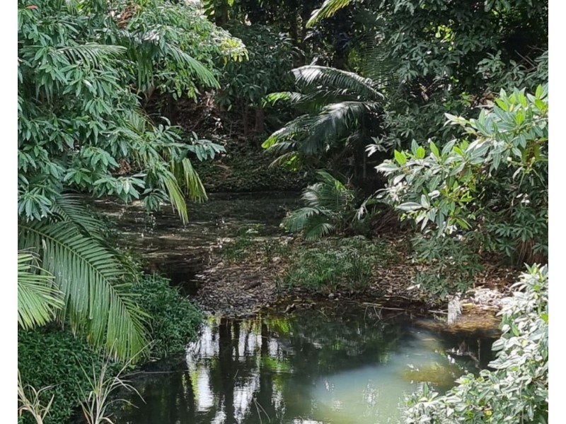 69 Ching Creek Road, Sarina QLD 4737