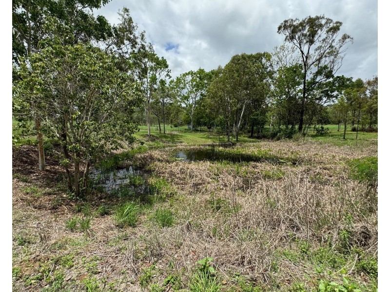 27 Flaggy Rock Road, Clairview QLD 4741