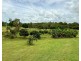 69 Grasstree Beach Road, Grasstree Beach QLD 4740
