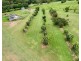 69 Grasstree Beach Road, Grasstree Beach QLD 4740