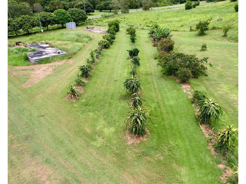 69 Grasstree Beach Road, Grasstree Beach QLD 4740