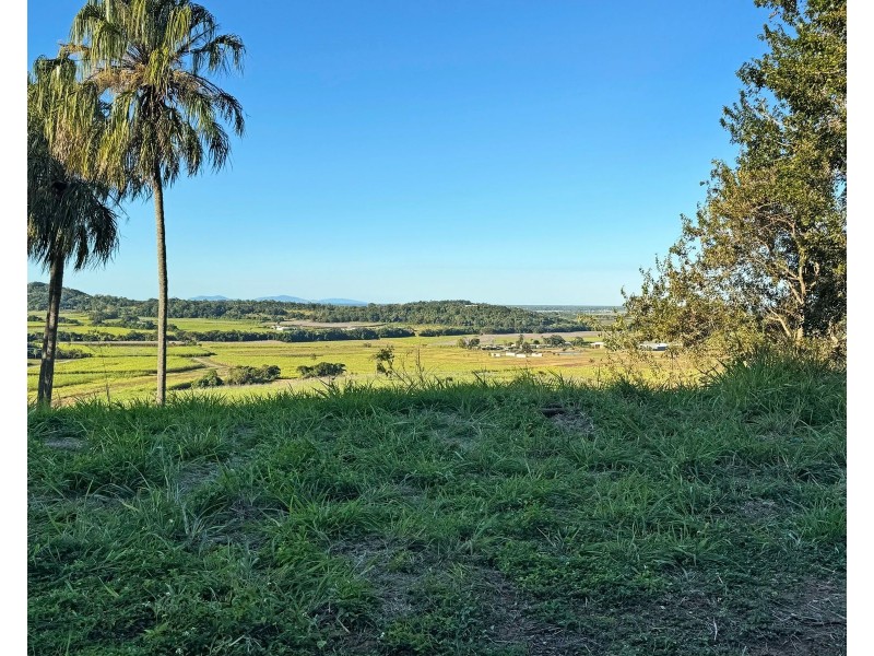 53 Ridgewood Drive, Farleigh QLD 4741