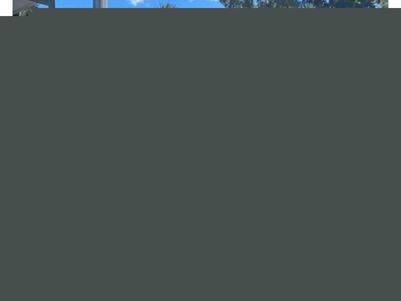 20 Florence Street, Eimeo QLD 4740