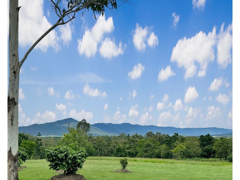 87 Kanes Road, Owens Creek QLD 4741