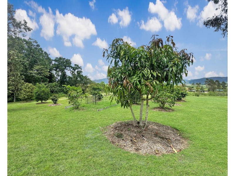 87 Kanes Road, Owens Creek QLD 4741