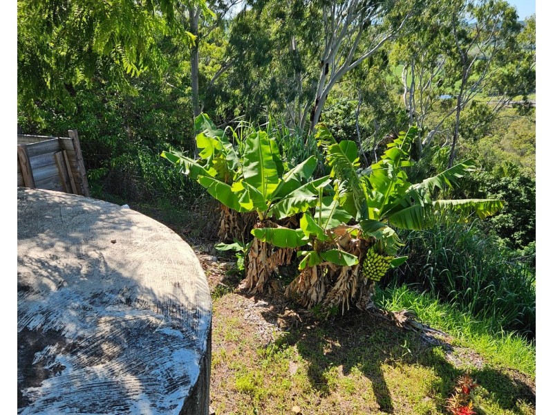 53 Wright Road, Grasstree Beach QLD 4740