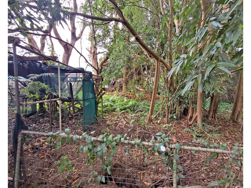 18 Byron Street, Mackay QLD 4740