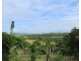 10 Rollinson Road, Farleigh QLD 4741
