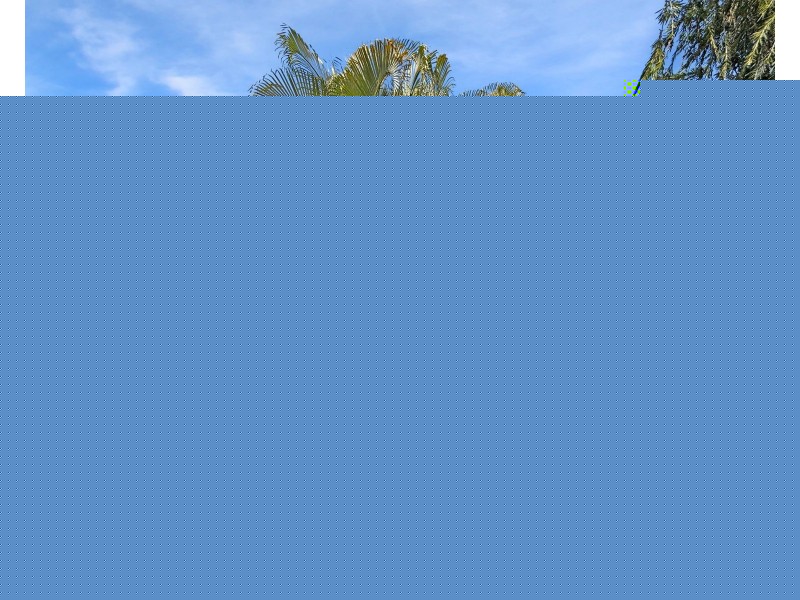 17 Ruddell Close, Marian QLD 4753