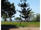 138 Waverley Street, Bucasia QLD 4750