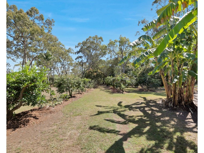 6 Wattle Court, Hay Point QLD 4740