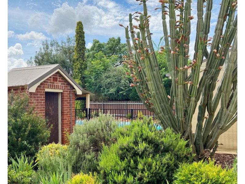 98 Warne Street, Wellington NSW 2820