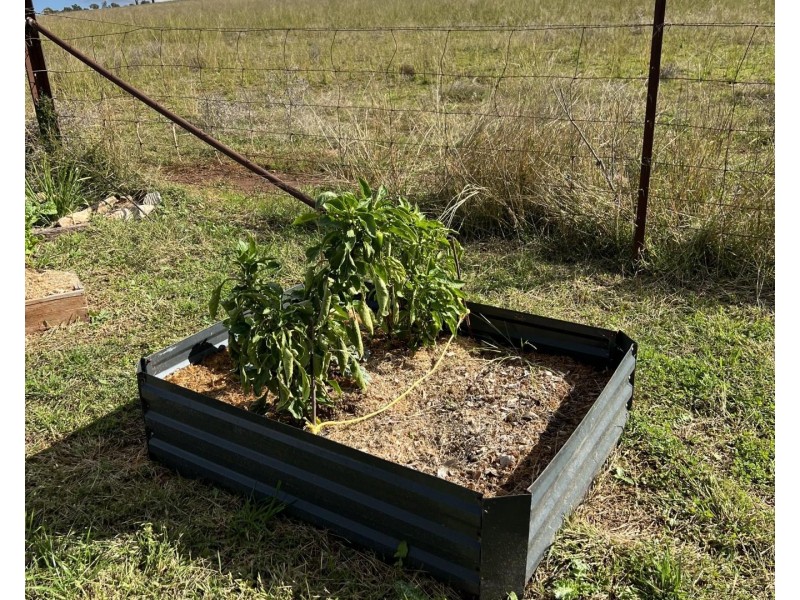 Maryvale NSW 2820