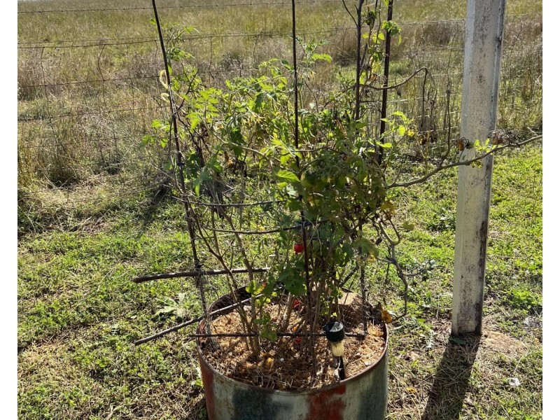 Maryvale NSW 2820