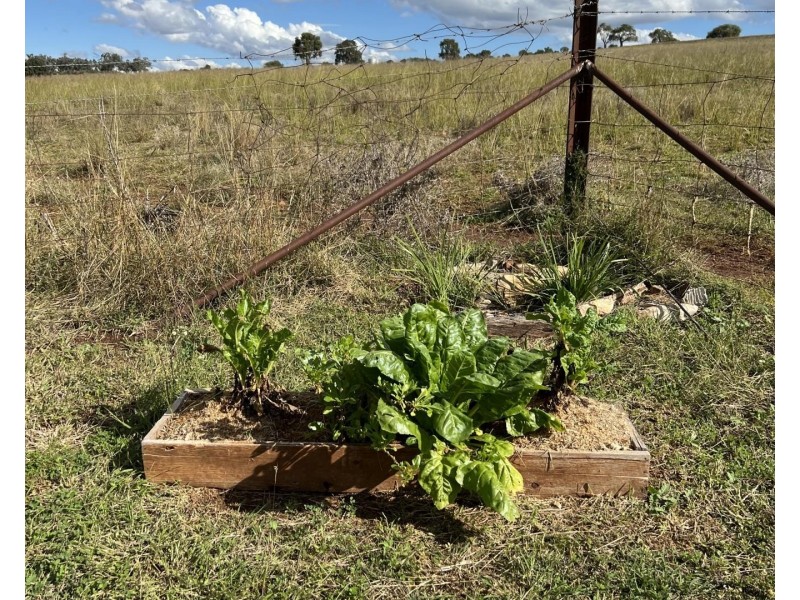 Maryvale NSW 2820