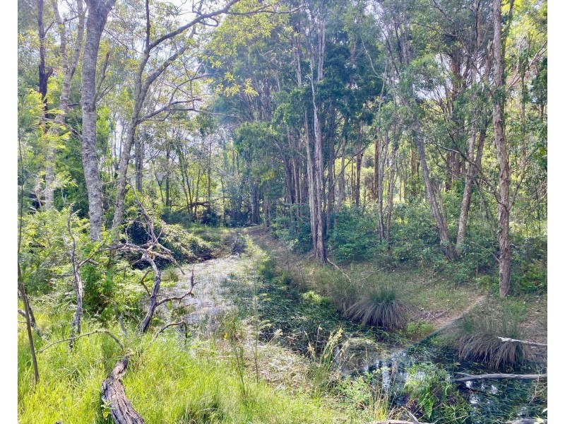 426 King Creek Road, King Creek NSW 2446