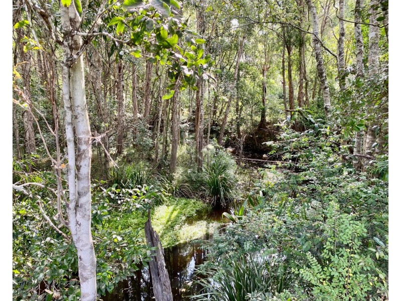 426 King Creek Road, King Creek NSW 2446