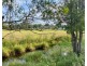 426 King Creek Road, King Creek NSW 2446