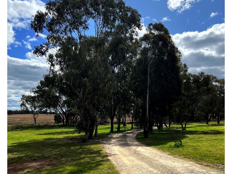 54 Heatherbrae Road, Geurie NSW 2831