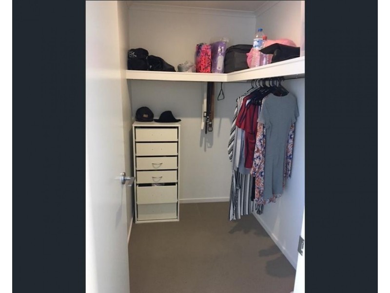 23/11 CRAYFISH STREET, Mountain Creek QLD 4557