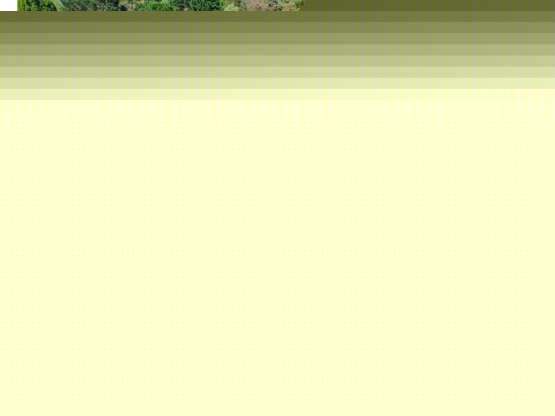 124 – 126 Great Western Hwy, Wentworth Falls NSW 2782