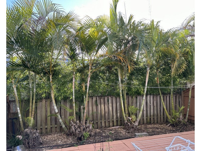 25/82-86 Heeb Street, Benowa QLD 4217