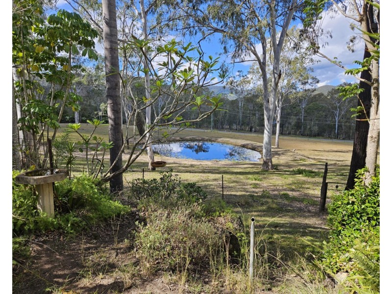 616 Plunkett Rd, Cedar Creek QLD 4207