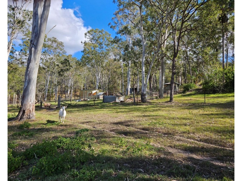 616 Plunkett Rd, Cedar Creek QLD 4207