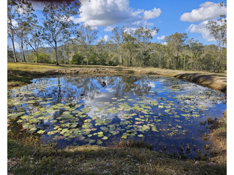 616 Plunkett Rd, Cedar Creek QLD 4207