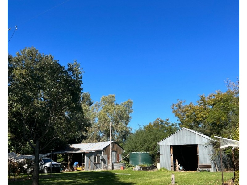 357L Obley Road, Wambangalang NSW 2830