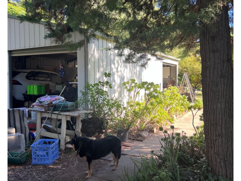 357L Obley Road, Wambangalang NSW 2830