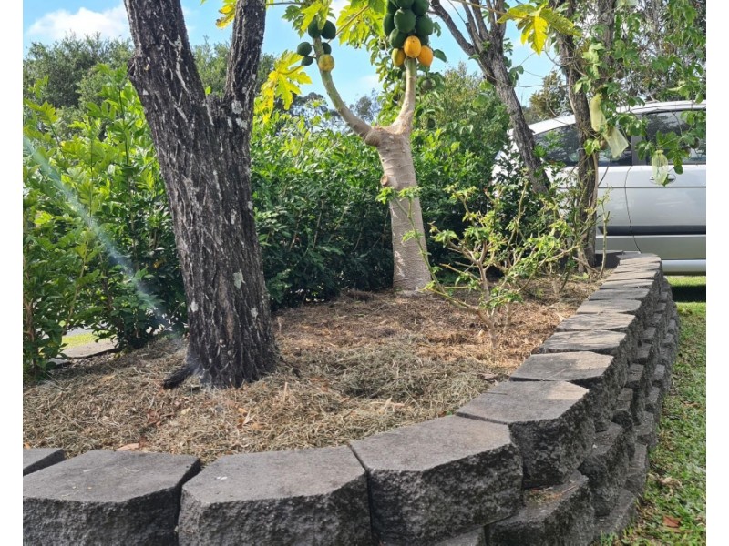 47 Freestone Drive, Upper Coomera QLD 4209