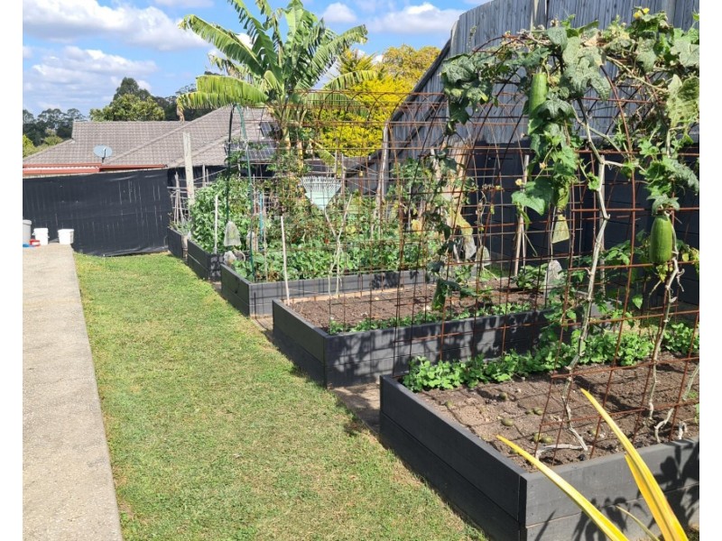 47 Freestone Drive, Upper Coomera QLD 4209