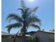 6 Owen Street, Wellington Point QLD 4160