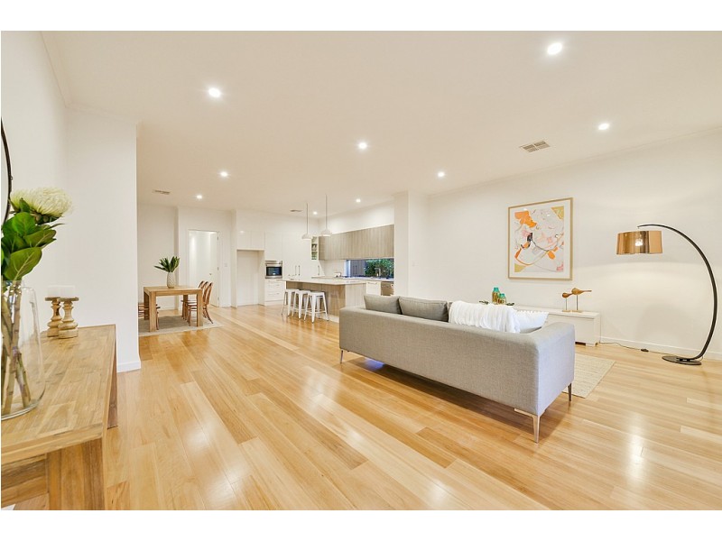 14A Swinburne Avenue, Plympton Park SA 5038