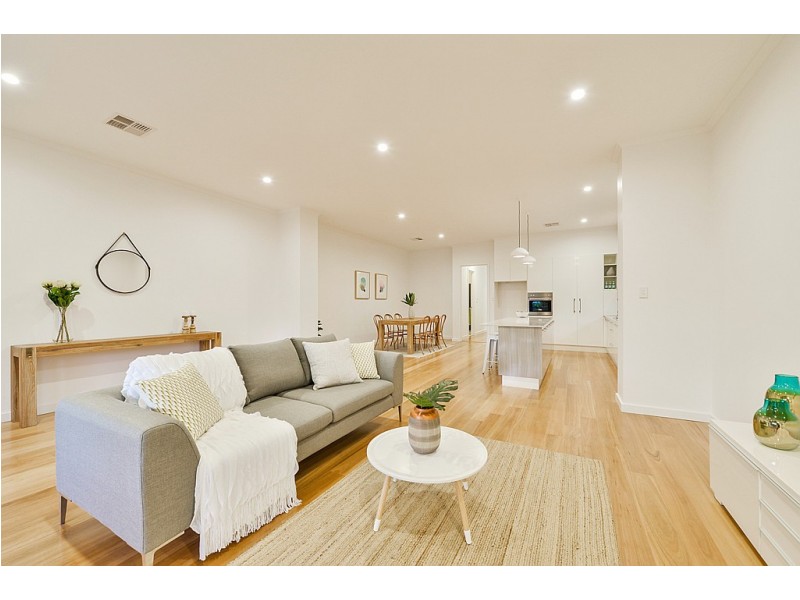 14A Swinburne Avenue, Plympton Park SA 5038