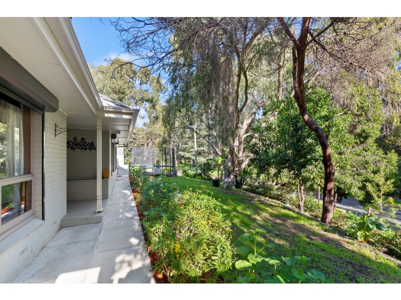 54 Glenwood Drive, Bellevue Heights SA 5050